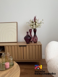 3 pokoje! Niski blok! A. Krzywoń!!